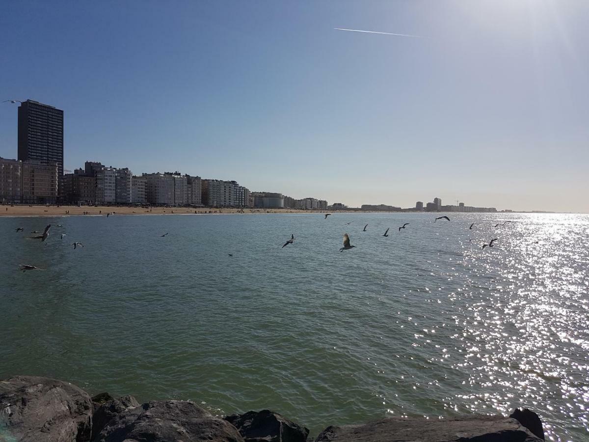 Marina Mercator Apartmán *